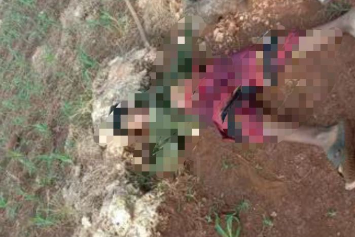 Geger! Warga Imaan Gresik Ditemukan Tewas di Ladang Jagung Desa Wotan Geger! Warga Imaan Gresik Ditemukan Tewas di Ladang Jagung Desa Wotan