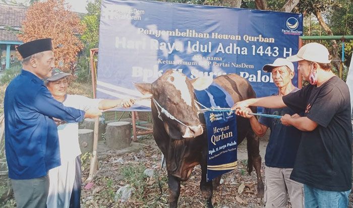 Ketua DPD NasDem Kabupaten Kediri Beri Satu Ekor Sapi untuk Takmir Mushola Al Ihsan