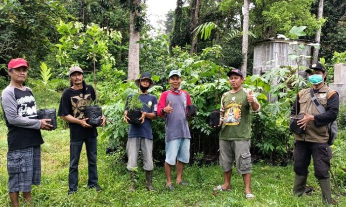 Hari Menanam Pohon, Ratusan Pegiat Lingkungan Lintas Komunitas Hijaukan Alas Simpenan