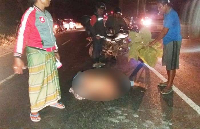 Korban Tabrak Lari, Seorang Pemotor Ditemukan Tewas Terkapar di Jalan Raya Tuban-Bulu