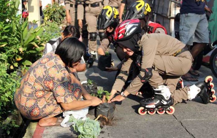 Pakai Roller Blade, Polwan dan Satpoltik Sedekah Bibit Cabai di CFD Tunjungan Pakai Roller Blade, Polwan dan Satpoltik Sedekah Bibit Cabai di CFD Tunjungan