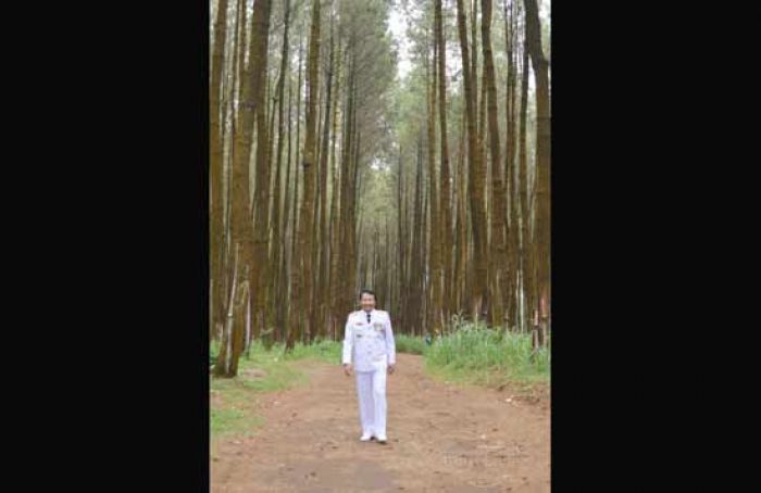 Pemkab Pasuruan Bakal Promosikan Hutan Pinus Gendro Pemkab Pasuruan Bakal Promosikan Hutan Pinus Gendro