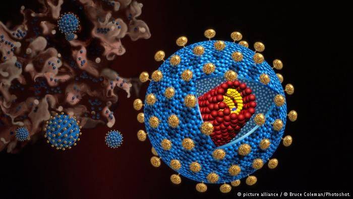 Bersihkan Virus di Darah dengan Magnet Bersihkan Virus di Darah dengan Magnet