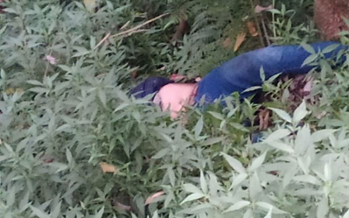 Wanita Cantik Asal Kediri Tewas Dibunuh, Mayatnya Dibuang di Jurang Pacet-Mojokerto Wanita Cantik Asal Kediri Tewas Dibunuh, Mayatnya Dibuang di Jurang Pacet-Mojokerto