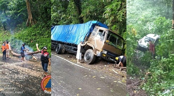 Pohon Tumbang dan Kecelakaan Bikin Macet Jalur Gumitir Jember