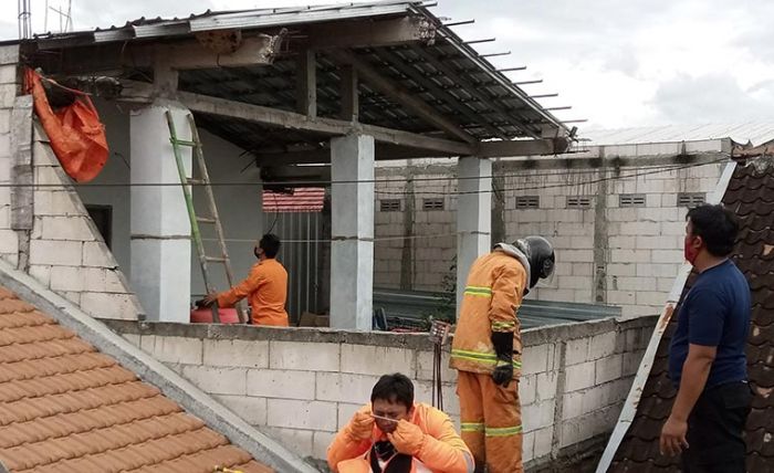 Resahkan Warga, BPBD Kota Madiun Musnahkan Sarang Tawon Ndas Resahkan Warga, BPBD Kota Madiun Musnahkan Sarang Tawon Ndas