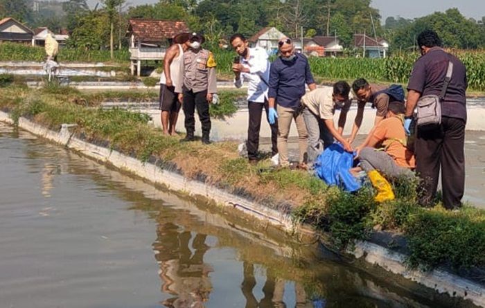 Kakek di Blitar Ditemukan Tak Bernyawa Mengapung di Kolam Koi