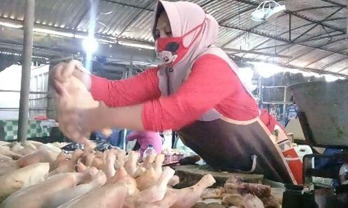 ​Imbas Covid-19, Harga Daging Ayam Potong di Pamekasan Turun