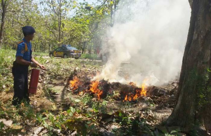 Kemarau, 18 Hektar Hutan Jati di Bojonegoro Terbakar Kemarau, 18 Hektar Hutan Jati di Bojonegoro Terbakar