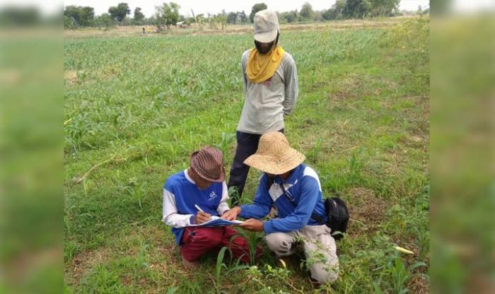 Ratusan Bidang Lahan untuk Pembangunan Kilang Minyak Tuban Mulai Diukur