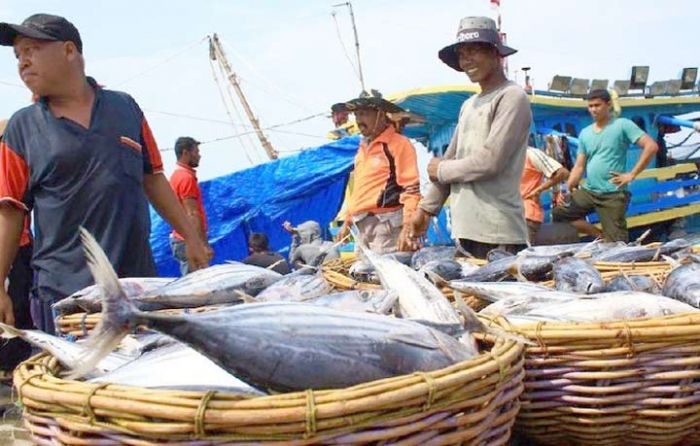 Baru 330 Orang Nelayan di Pasuruan Terdaftar Asuransi Baru 330 Orang Nelayan di Pasuruan Terdaftar Asuransi