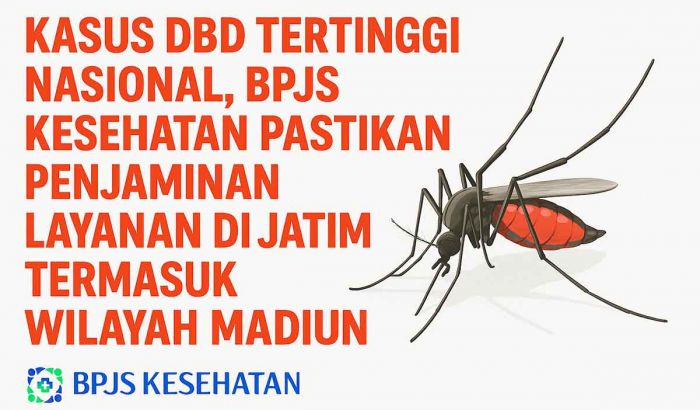 BPJS Kesehatan Pastikan Penjaminan Layanan Kasus DBD di Jawa Timur, Termasuk Wilayah Madiun BPJS Kesehatan Pastikan Penjaminan Layanan Kasus DBD di Jawa Timur, Termasuk Wilayah Madiun