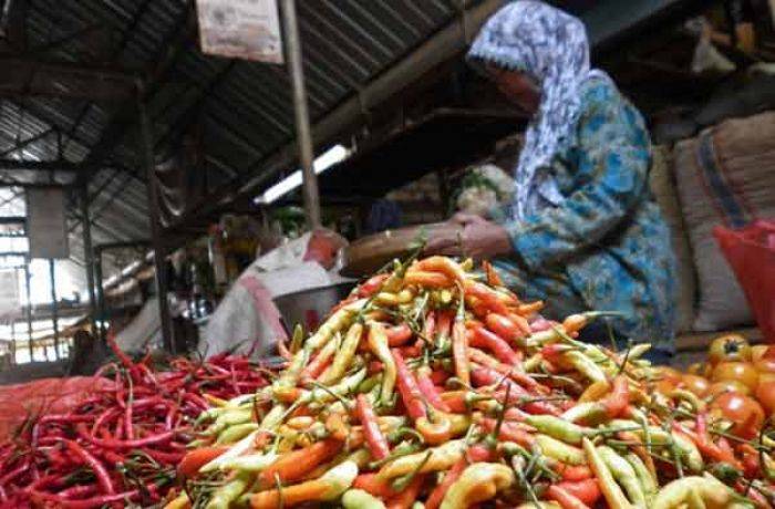 Harga Cabai di Tuban Capai Rp 60 Ribu per Kg Harga Cabai di Tuban Capai Rp 60 Ribu per Kg