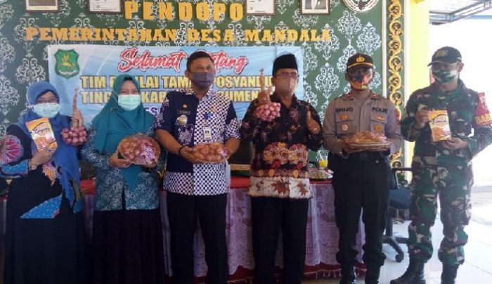 Tiga Desa di Sumenep, Dapat Predikat Segitiga Emas Penghasil Bawang Merah Tiga Desa di Sumenep, Dapat Predikat Segitiga Emas Penghasil Bawang Merah
