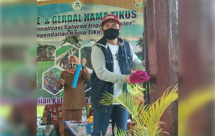 Sambut Musim Tanam, Pemkab Nganjuk Antisipasi Serangan Tikus dan Perbaiki Saluran