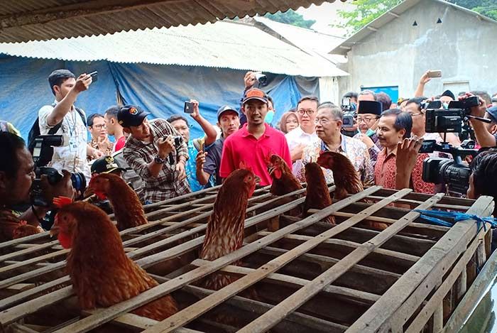 Di Blitar, Menko Perekonomian Dengarkan Curhatan Peternak Terkait Harga Jagung