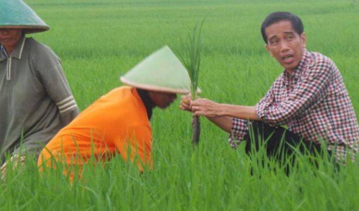 DPRD Jatim Pesimis Indonesia Swasembada Pangan DPRD Jatim Pesimis Indonesia Swasembada Pangan