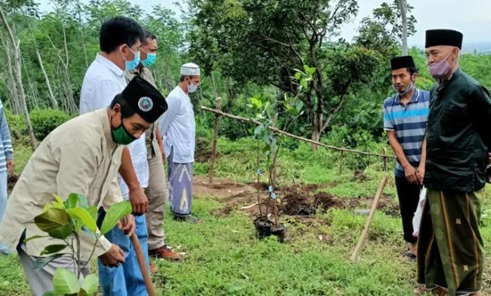 IAI Tri Bhakti Lirboyo Tanam Ratusan Pohon untuk Penghijauan di Kawasan Gunung Klotok IAI Tri Bhakti Lirboyo Tanam Ratusan Pohon untuk Penghijauan di Kawasan Gunung Klotok