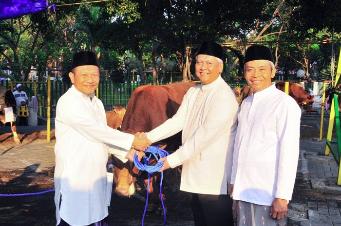 PT Petrokimia Gresik Kurban 18 Sapi dan 87 Kambing PT Petrokimia Gresik Kurban 18 Sapi dan 87 Kambing