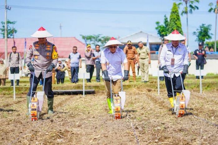 Pj Gubernur Adhy Bersama Polda Jatim Tanam Jagung Serentak di Blitar, Dukung Swasembada Pangan Pj Gubernur Adhy Bersama Polda Jatim Tanam Jagung Serentak di Blitar, Dukung Swasembada Pangan