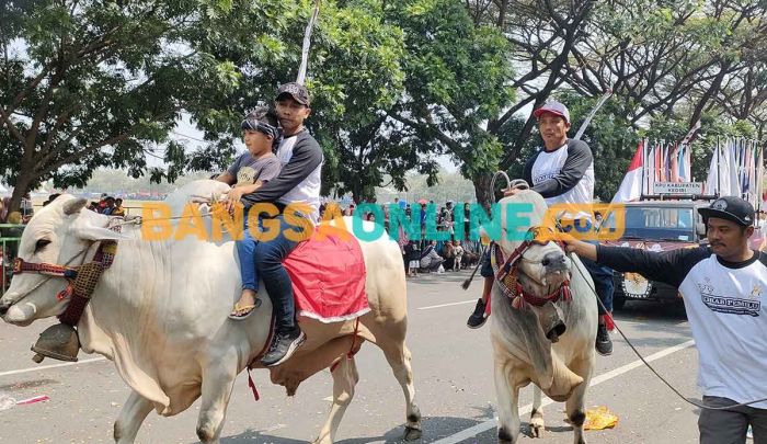 Kirab Pemilu 2024, KPU Kabupaten Kediri Libatkan Cikar dan Sapi Kirab Pemilu 2024, KPU Kabupaten Kediri Libatkan Cikar dan Sapi
