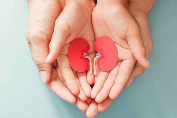 Ketahui 5 Cara Menjaga Kesehatan Ginjal Anak Ketahui 5 Cara Menjaga Kesehatan Ginjal Anak