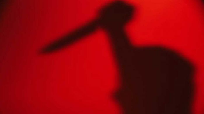 Aksi Koboi di Wonosalam Jombang Berakhir di Jeruji Besi