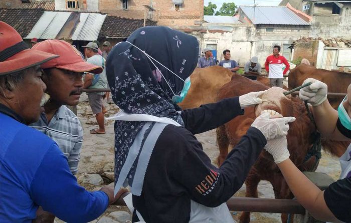 Pemkab Kediri Tutup Sementara Seluruh Pasar Hewan, Intensifkan Pengobatan PMK Pemkab Kediri Tutup Sementara Seluruh Pasar Hewan, Intensifkan Pengobatan PMK