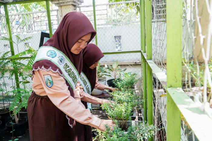 Enam Sekolah di Lamongan Raih Penghargaan Adiwiyata Nasional dan Mandiri 2024 Enam Sekolah di Lamongan Raih Penghargaan Adiwiyata Nasional dan Mandiri 2024