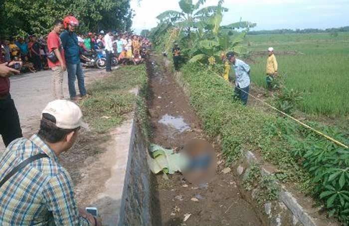 Geger di Kedawung Wetan Sooko, Pemuda dengan Luka Bacok Ditemukan Tewas di Parit 