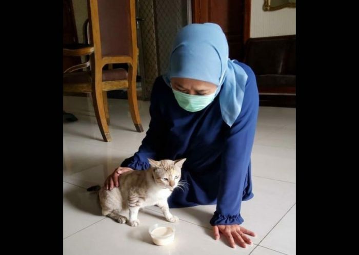 Positif Covid-19 Lagi, Gubernur Khofifah Batal Hadiri Serah Terima Jabatan Bupati Tuban Positif Covid-19 Lagi, Gubernur Khofifah Batal Hadiri Serah Terima Jabatan Bupati Tuban