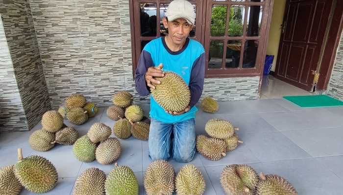 Durian Durian