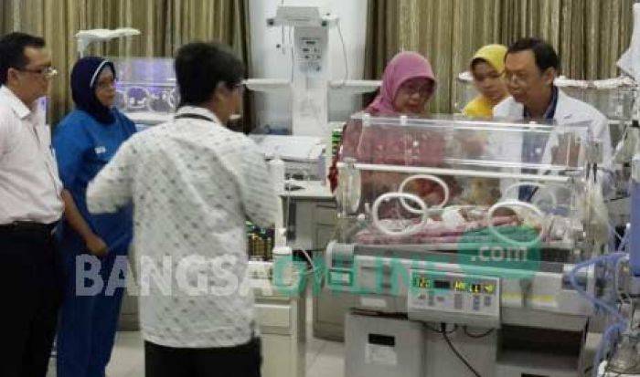 Bayi Kembar Siam Dempet Perut di Sidoarjo Bermasalah pada Liver Bayi Kembar Siam Dempet Perut di Sidoarjo Bermasalah pada Liver