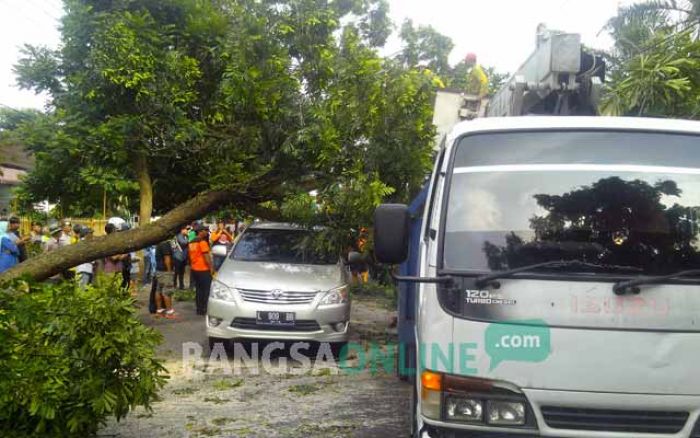 Pohon Tumbang di Jalan Aris Munandar Kota Malang Timpa Innova