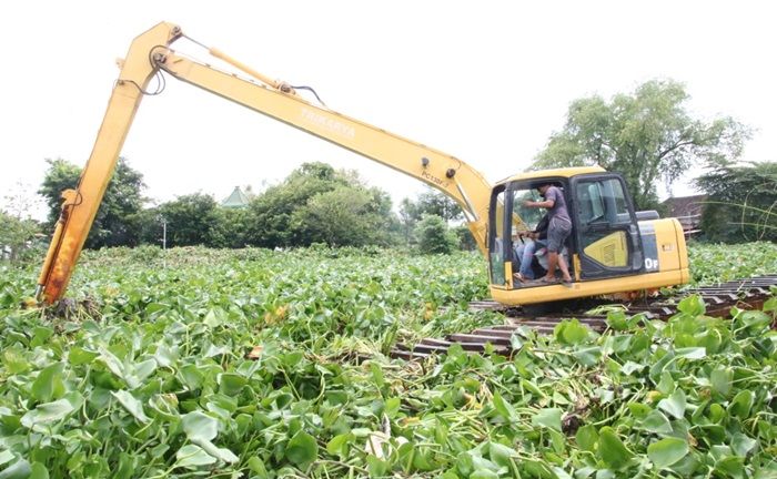 Antisipasi Banjir, Pemkab Lamongan Kerahkan Backhoe Amphibi Bersihkan Eceng Gondok