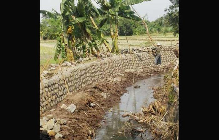 Anggaran Rehab Irigasi Dinas Sumber Daya Air dan Tata Ruang Pasuruan Capai Rp 32,175 M Anggaran Rehab Irigasi Dinas Sumber Daya Air dan Tata Ruang Pasuruan Capai Rp 32,175 M