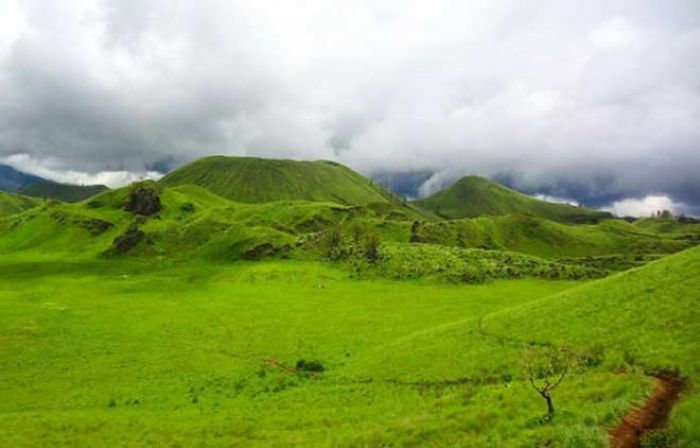 Tingkatkan PAD, Bupati Bondowoso akan Berlakukan Retribusi Wisata Tingkatkan PAD, Bupati Bondowoso akan Berlakukan Retribusi Wisata