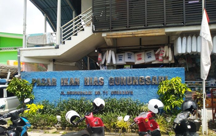 Harga Hingga Puluhan Juta Rupiah, Ikan Cupang Makin Eksis di Masa Pandemi Harga Hingga Puluhan Juta Rupiah, Ikan Cupang Makin Eksis di Masa Pandemi