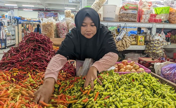 Harga Cabai di Ngawi Meroket Harga Cabai di Ngawi Meroket