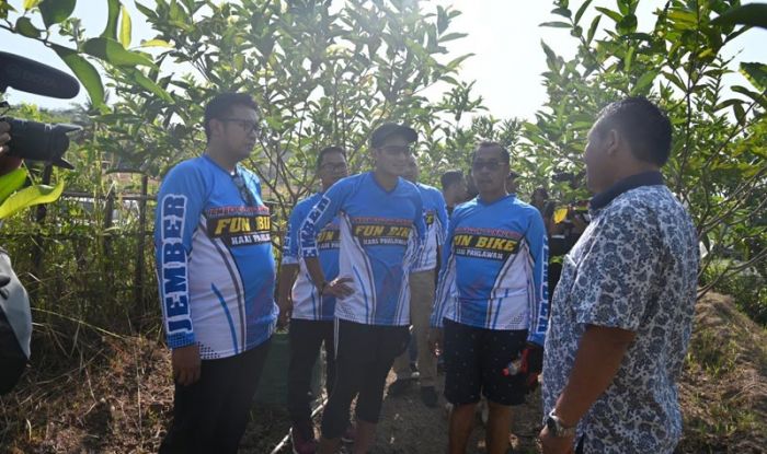 Sandiaga Uno Kunjungi Jember, Apresiasi UMKM dan Dukung Pertanian Kreatif Sandiaga Uno Kunjungi Jember, Apresiasi UMKM dan Dukung Pertanian Kreatif