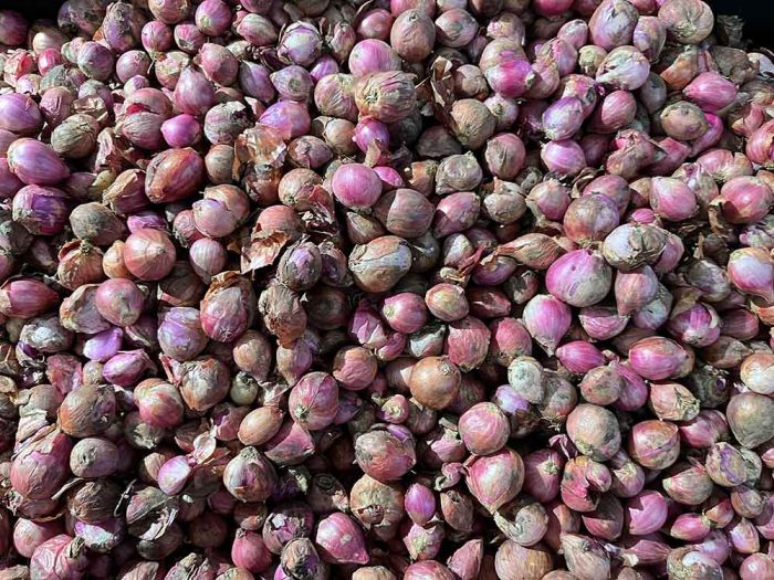 Daftar Harga Sembako Surabaya 27 Mei 2025: Bawang Merah Rp33.833/kg, Cabai Rawit Rp23.666/kg Daftar Harga Sembako Surabaya 27 Mei 2025: Bawang Merah Rp33.833/kg, Cabai Rawit Rp23.666/kg