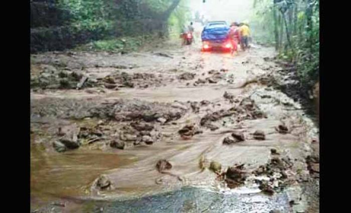 Diguyur Hujan, Taman Hutan Rakyat (Tahura) Pacet Mojokerto Longsor