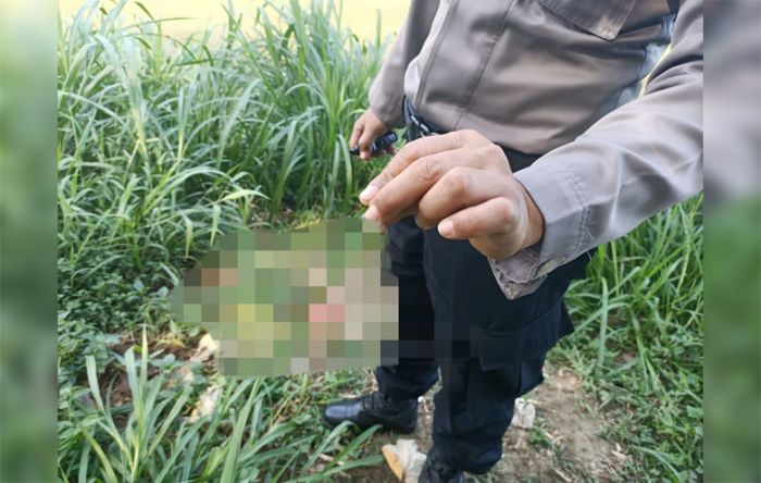 Tangan Pria di Blitar Putus Terkena Bom Ikan Tangan Pria di Blitar Putus Terkena Bom Ikan