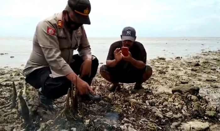 Asap dan Api Ditemukan di Celah Batu Bibir Pantai Bangkalan