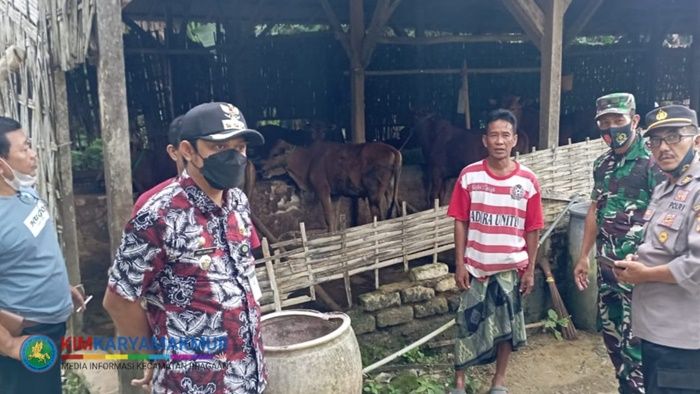 PMK Mewabah, Forkopimka Pragaan Sumenep Tinjau Kesehatan Sapi dan Jenis Ternak Lainnya PMK Mewabah, Forkopimka Pragaan Sumenep Tinjau Kesehatan Sapi dan Jenis Ternak Lainnya