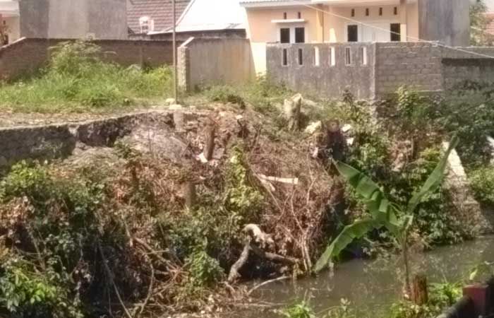 Tiga Pohon di Sempadan Sungai Perum Puri Brawijaya Diduga Ditebang Tanpa Izin Tiga Pohon di Sempadan Sungai Perum Puri Brawijaya Diduga Ditebang Tanpa Izin