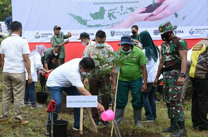 Hijaukan Indonesia, Petrokimia Gresik Koordinir Penanaman 12.300 Pohon