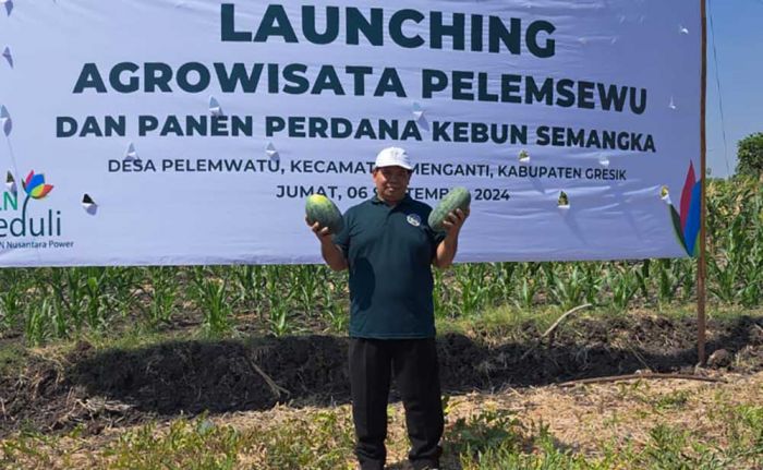 Desa Pelemwatu Gresik Launching Agrowisata Pelemsewu Desa Pelemwatu Gresik Launching Agrowisata Pelemsewu