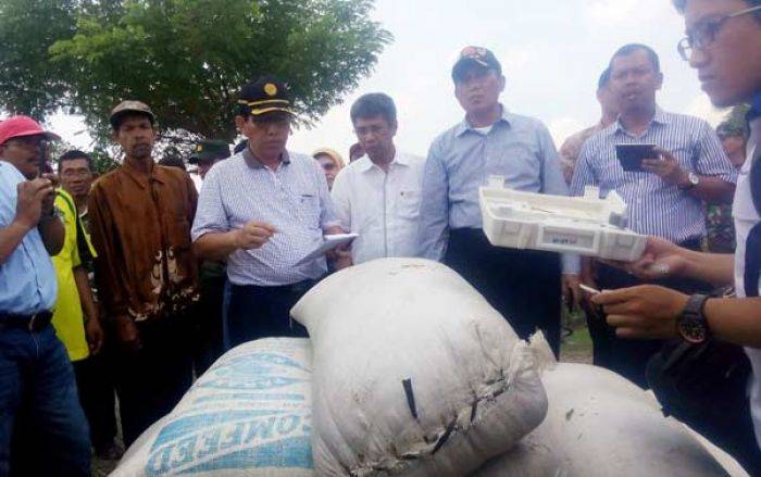 Dirjen Pertanian Kunjungi Bojonegoro, Amankan Gabah Petani Dirjen Pertanian Kunjungi Bojonegoro, Amankan Gabah Petani