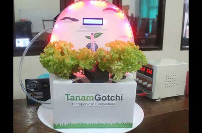 Tanam Gotchi, Aplikasi Bercocok Tanam Hidroponik, Selada Pun Bisa Diajak Omong Tanam Gotchi, Aplikasi Bercocok Tanam Hidroponik, Selada Pun Bisa Diajak Omong